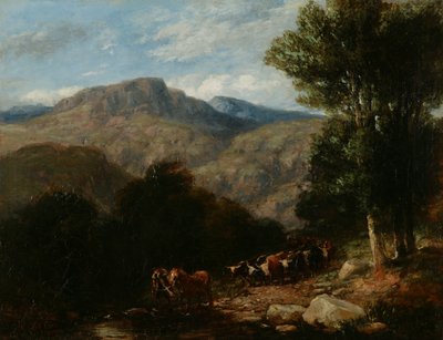 Korsar Ford av David Cox