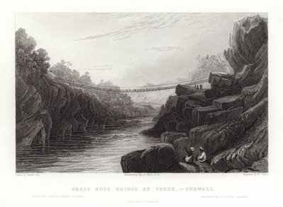 Gräsrepbron av David Cox