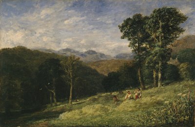 Höslagning nära Conway av David Cox