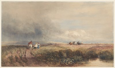 Resan hem av David Cox