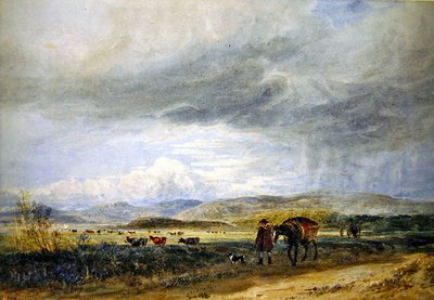 Llugwy Meadows (akvarell på papper) av David Cox