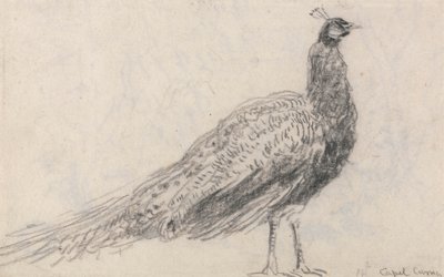Påfågel vid Capel Curig av David Cox