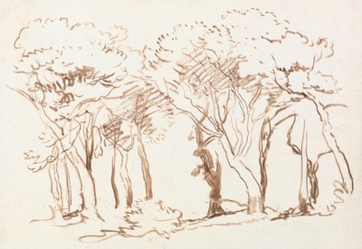 Studie av träd av David Cox