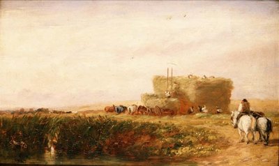 Höfältet av David Cox