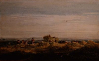 Höfältet av David Cox