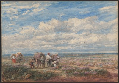 Ljung- eller ginstplockarna av David Cox