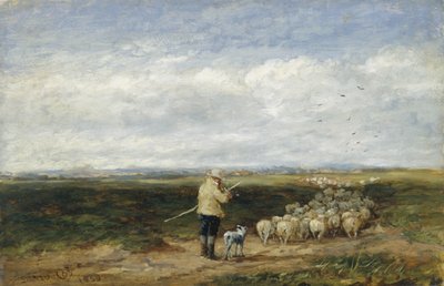 Herden, flockens återkomst av David Cox