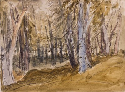 Träd på Box Hill (kol och wc på papper) av David Cox