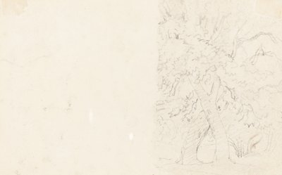 Träd [verso] av David Cox