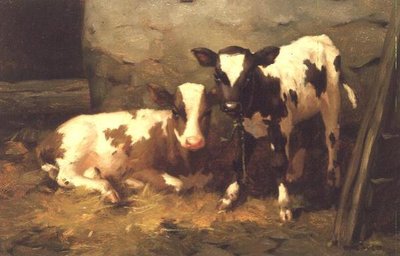 Kalvar i en lada av David Gauld