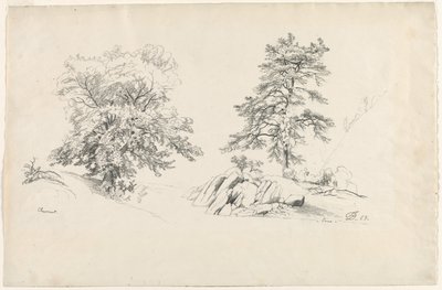 Kastanj och tall, 1869. av David Johnson