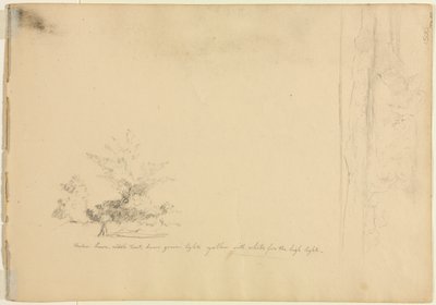 Landskaps- och trädstudier verso, c. 1851. av David Johnson