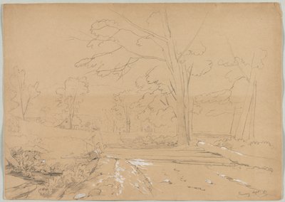 Landskap med manfiske, Conway, New Hampshire, 1851. av David Johnson