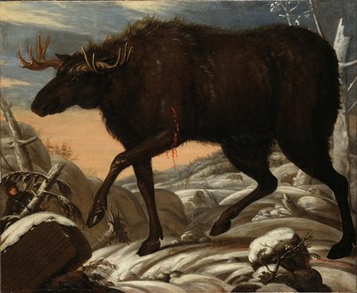 Älg av David Klöcker Ehrenstrahl