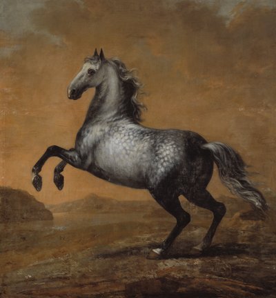 Den lille engelsmannen, kung Karl XI (1655-97)s häst av David Klöcker Ehrenstrahl