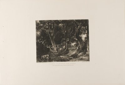 A Dell, Helmingham Park, Suffolk av David Lucas