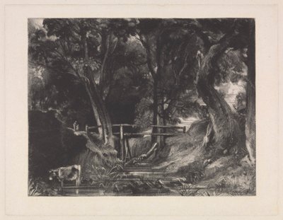 A Dell, Helmingham Park, Suffolk av David Lucas