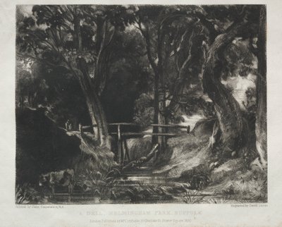 Olika landskapsämnen, karakteristiska för engelskt landskap från bilder målade av John Constable, R.A.: Dell in the Woods of Helmingham Park, Suffolk av David Lucas