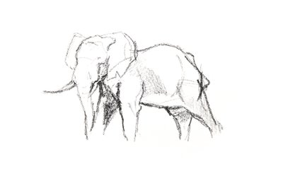 Bull Elephant, 2021 (krita på papper) av David Mayer