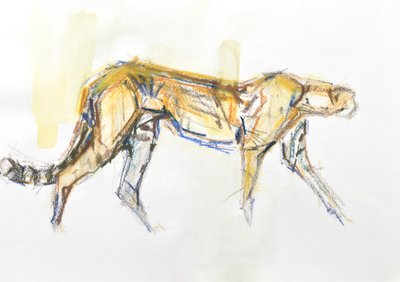 Cheetah, 2020 (krita och akvarell på papper) av David Mayer