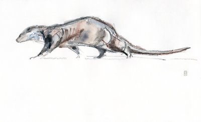 Otter running, 2022 (akvarell/krita på papper) av David Mayer