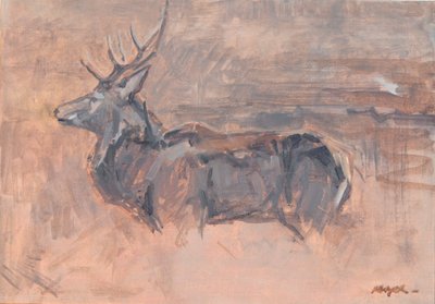 Red Deer Stag, 2023 (olja på duk) av David Mayer
