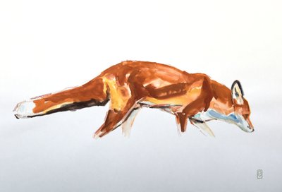 Red Fox, 2020 (akvarell och krita) av David Mayer
