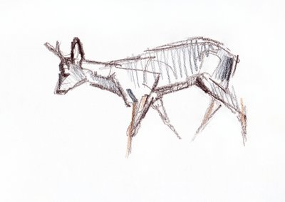 RoeBuck, 2021 av David Mayer