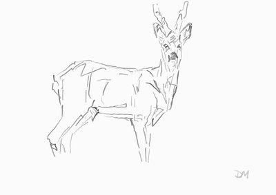Roe Buck, 2024 (bläck med bamburörpenna på papper) av David Mayer