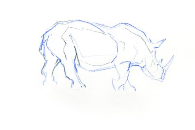 White Rhinoceros, 2020 (krita på papper) av David Mayer
