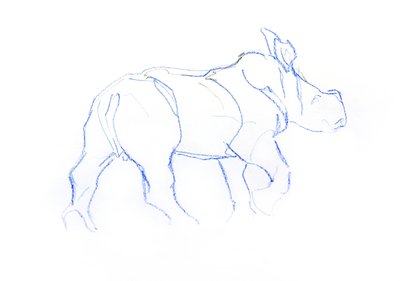 Vit noshörningkalv, 2020 (krita på papper) av David Mayer