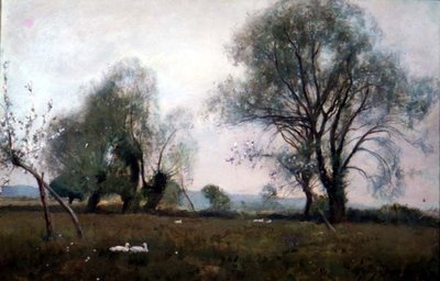 Nere på vattenängarna av David Murray