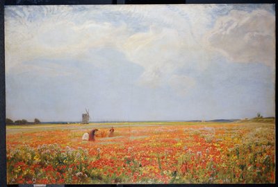 Blomsterplockarna av David Murray
