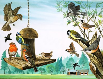 Alla möjliga fåglar runt trädgårdsbordet, illustration från "Once Upon a Time av David Pratt