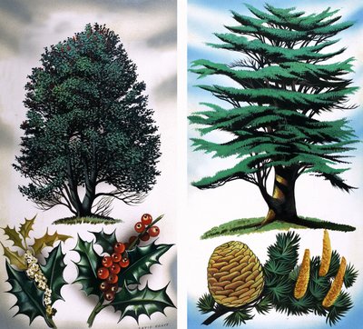 Träd som du kan se: Holly Tree  Cederträd av David Pratt