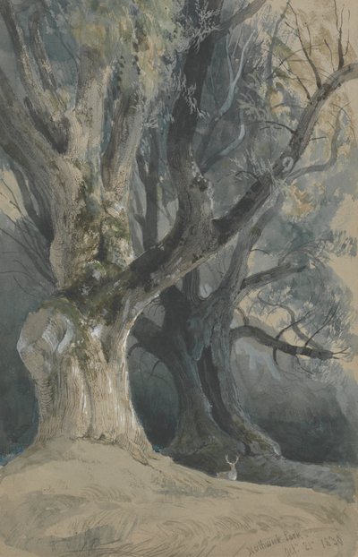 Träd i Northwick Park av David Roberts