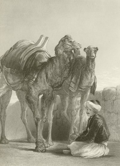 En grupp kameler vid Smyrna av David Wilkie