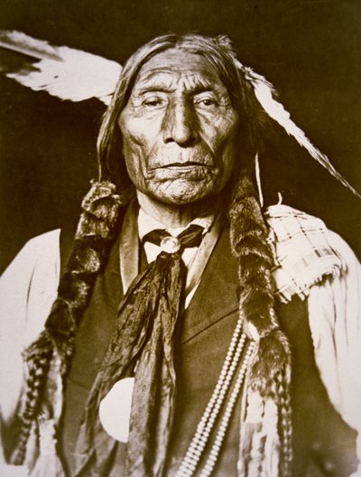 Wolf Robe (f. 1841) 1909 (s/v foto) av DeLancey W. Gill