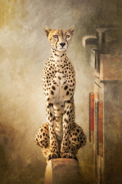 Majestätiskt porträtt av en gepard av Debbie Lefever