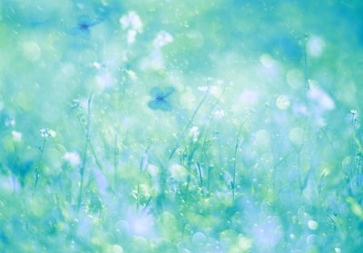 Aqua Butterfly Dream av Delphine Devos