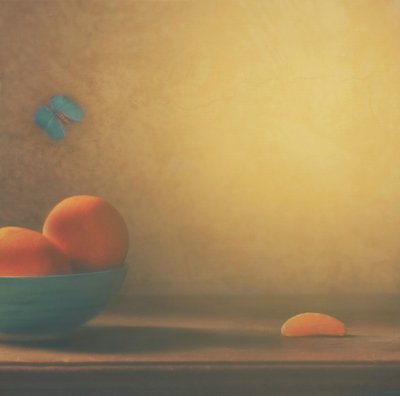 Citrusskål och fjäril av Delphine Devos