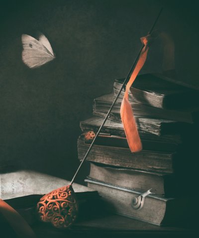 Dark Academia-fjäril av Delphine Devos