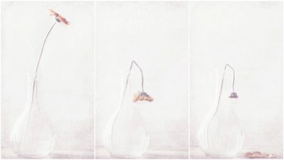 En ömtålig, vissnande blomma av Delphine Devos