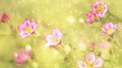 Drömlika rosa blommor av Delphine Devos