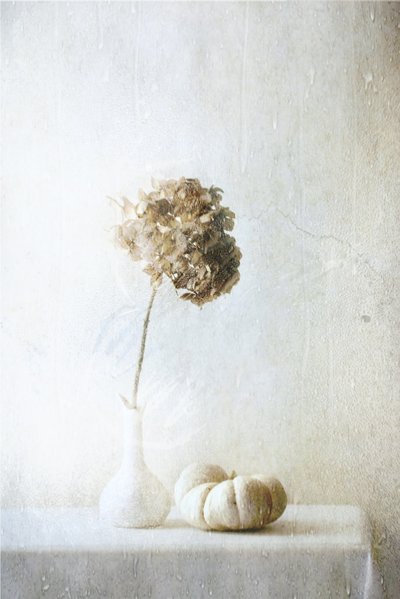  av Delphine Devos
