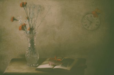 Vissnade blommor och tiden av Delphine Devos