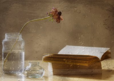 Melankolisk blomning och bok av Delphine Devos