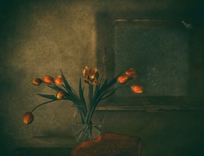 Stämningsfulla orange tulpaner av Delphine Devos