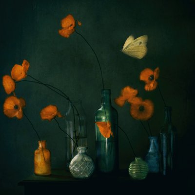 Moody Poppies-fjärilen av Delphine Devos