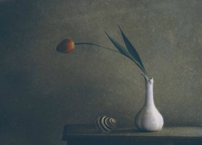 Stilleben med stämningsfulla tulpaner av Delphine Devos